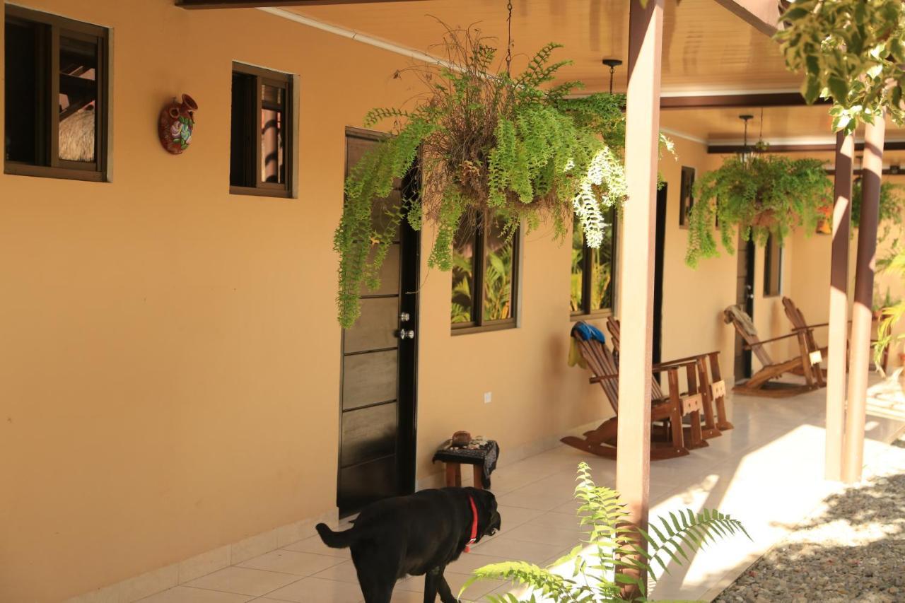 Roxy'S Bed & Breakfast Boca Chica Exterior foto